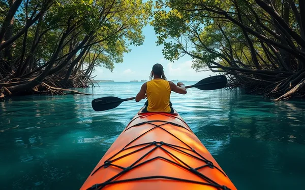 Kayak dans la mangrove en Guadeloupe : les meilleurs spots et conseils 2026
