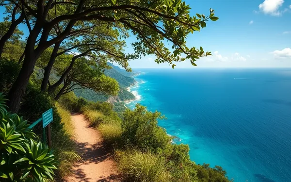 5 Randonnées en Boucle en Guadeloupe avec Vue sur Mer