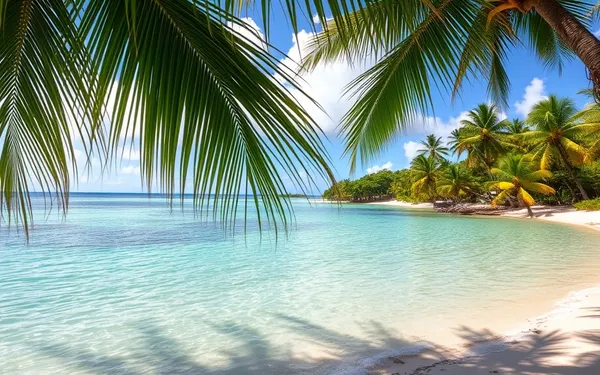 Plage de l’Anse Canot en Guadeloupe : que faire et quand s’y baigner