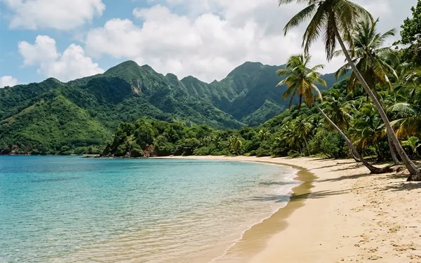 Les 10 plus belles plages de Basse-Terre : Notre guide secret loin de la foule
