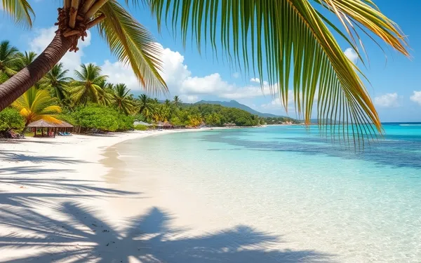 Meilleures plages de Guadeloupe pour les familles : sable, eau peu profonde et baignade des enfants