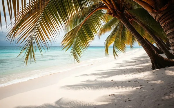 Plages naturistes en Guadeloupe : Guide complet des spots autorisés et règles de savoir-vivre en 2026