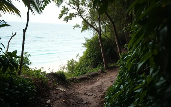 Randonnée Facile Guadeloupe Plage Secrète : Le Guide 2026 des Criques Intimes