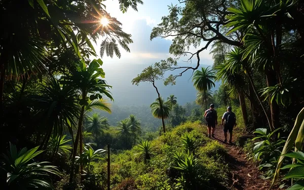 Randonnée en forêt tropicale à Bouillante : sentiers, points de vue et conseils de sécurité