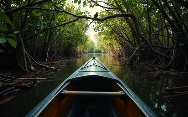 Randonnée Mangrove Guadeloupe : Guide Ultime pour l'Observation et l'Identification des Oiseaux Rares en 2026